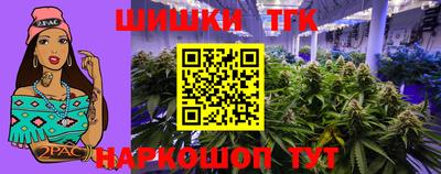 apvp Обь