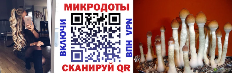 Галлюциногенные грибы Cubensis  Туапсе 