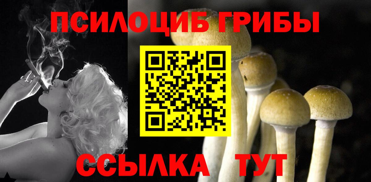 Псилоцибиновые грибы ЛСД  Вход с VPN  Туапсе  Псилоцибиновые грибы мухоморы 