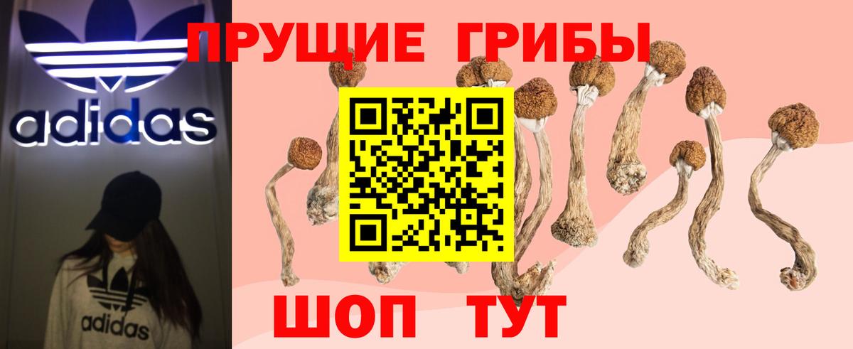 Галлюциногенные грибы ЛСД Туапсе
