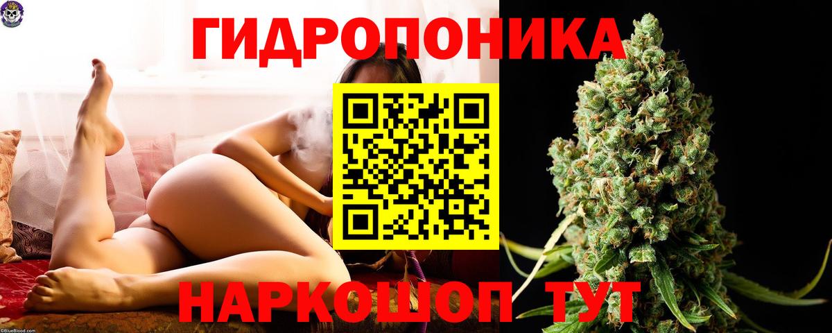 Канабис MAZAR Туапсе